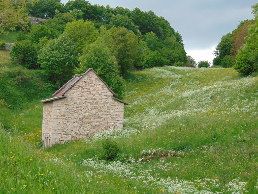 Hôtel Campeggio Branchetto à Bosco Chiesanuova Extérieur photo